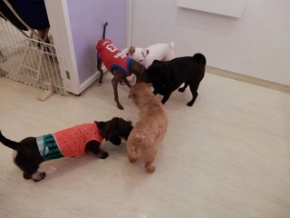 DSCN3825.jpg