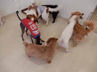 DSCN3838.jpg