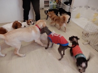 DSCN3849.jpg