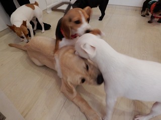DSCN3873.jpg