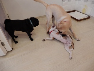 DSCN3913.jpg