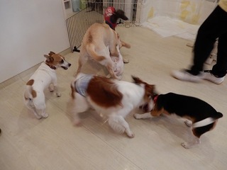 DSCN3937.jpg