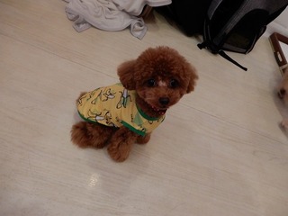 DSCN3955.jpg