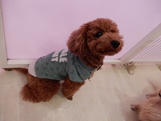 DSCN3956.jpg