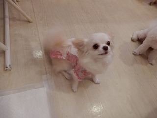 DSCN3958.jpg