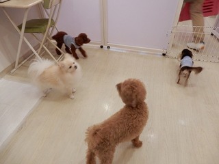 DSCN3999.jpg