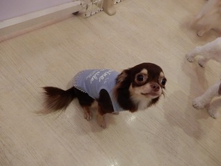 DSCN4007.jpg