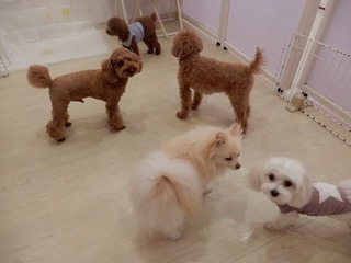 DSCN4026.jpg