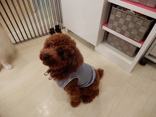 DSCN4028.jpg