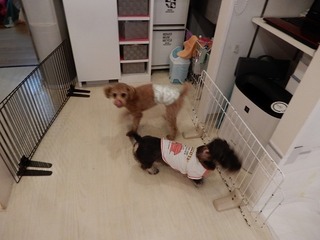 DSCN4038.jpg