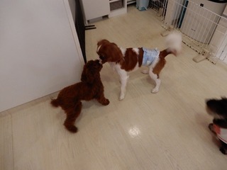 DSCN4056.jpg