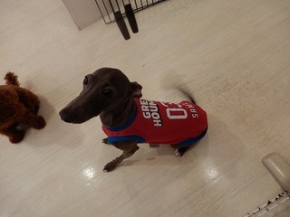 DSCN4064.jpg
