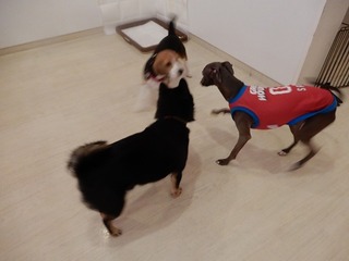 DSCN4070.jpg
