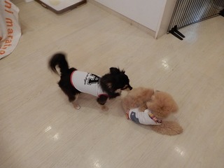 DSCN4081.jpg