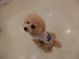DSCN4086.jpg