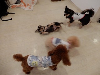 DSCN4093.jpg