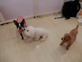 DSCN4109.jpg