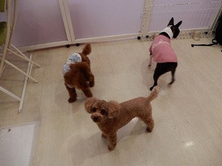 DSCN4117.jpg