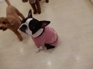 DSCN4118.jpg