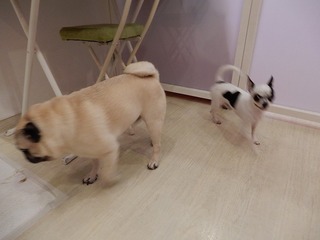 DSCN4128.jpg