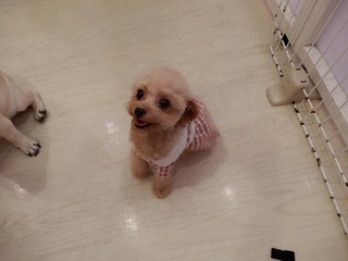 DSCN4136.jpg