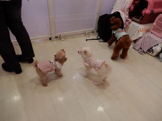 DSCN4138.jpg
