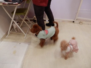 DSCN4139.jpg