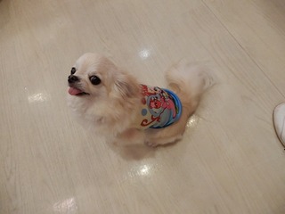 DSCN4140.jpg