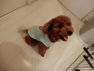 DSCN4141.jpg
