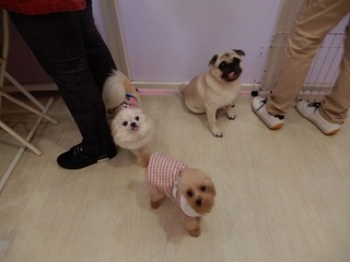 DSCN4142.jpg