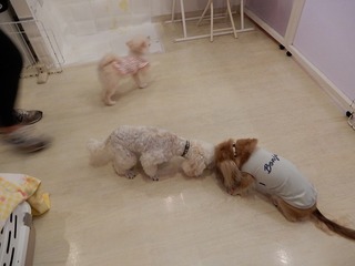 DSCN4151.jpg