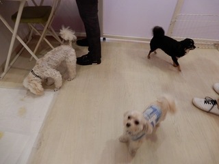 DSCN4166.jpg