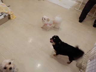 DSCN4180.jpg