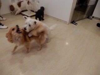 DSCN4204.jpg