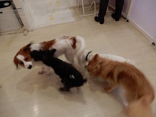DSCN4213.jpg
