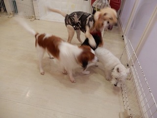 DSCN4260.jpg