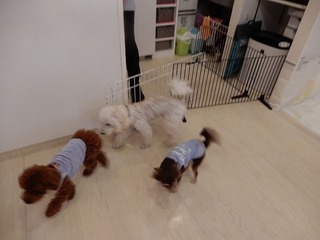 DSCN4265.jpg