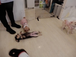 DSCN4275.jpg