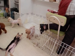 DSCN4280.jpg