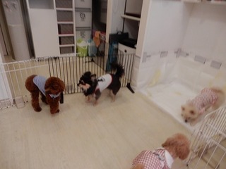 DSCN4286.jpg