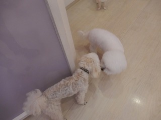 DSCN4307.jpg