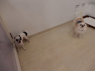 DSCN4309.jpg