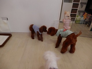 DSCN4356.jpg