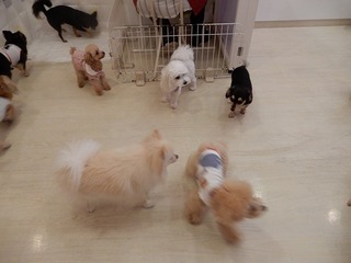 DSCN4415.jpg