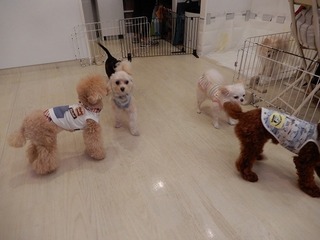 DSCN4462.jpg