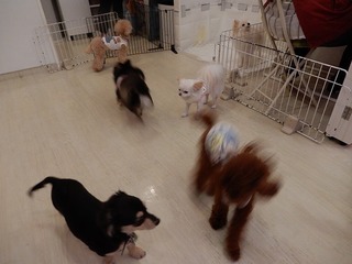 DSCN4463.jpg