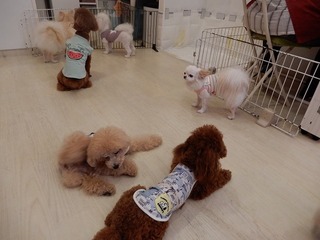 DSCN4478.jpg