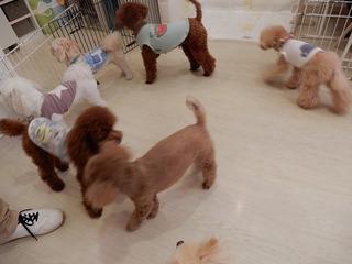 DSCN4482.jpg