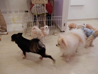 DSCN4484.jpg