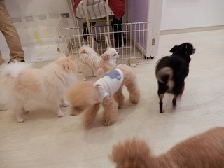 DSCN4486.jpg
